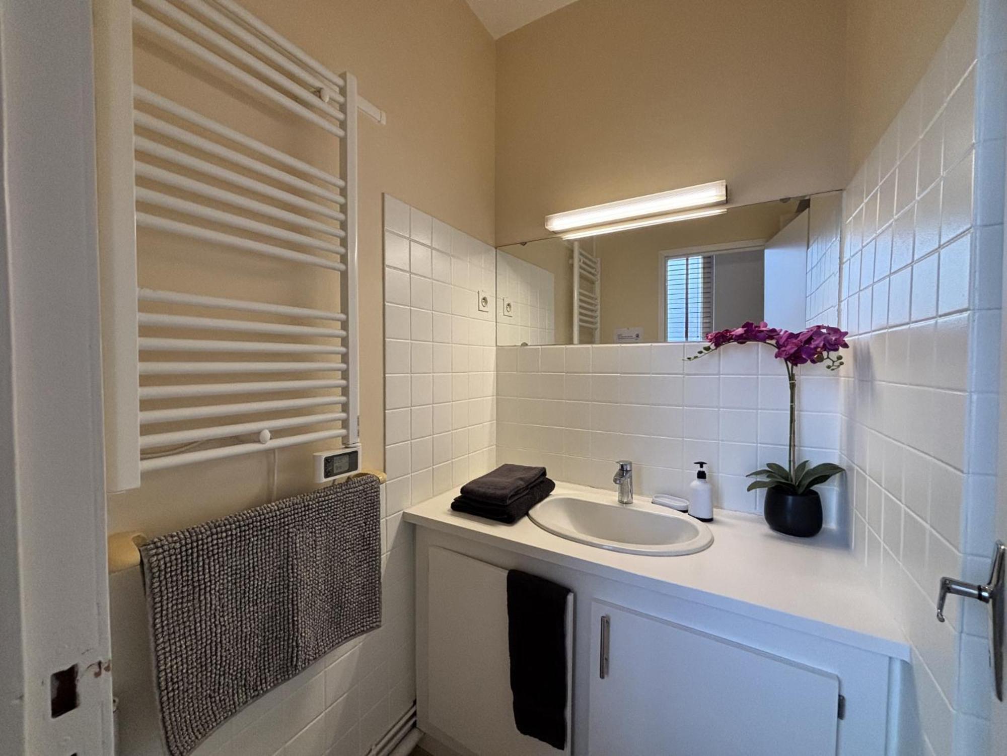 Le Puy De Dome - 1 Chambre - Clim Châtel-Guyon Екстериор снимка